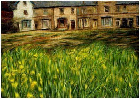 Hyacinth Bed & Breakfast Wellington  Exteriör bild